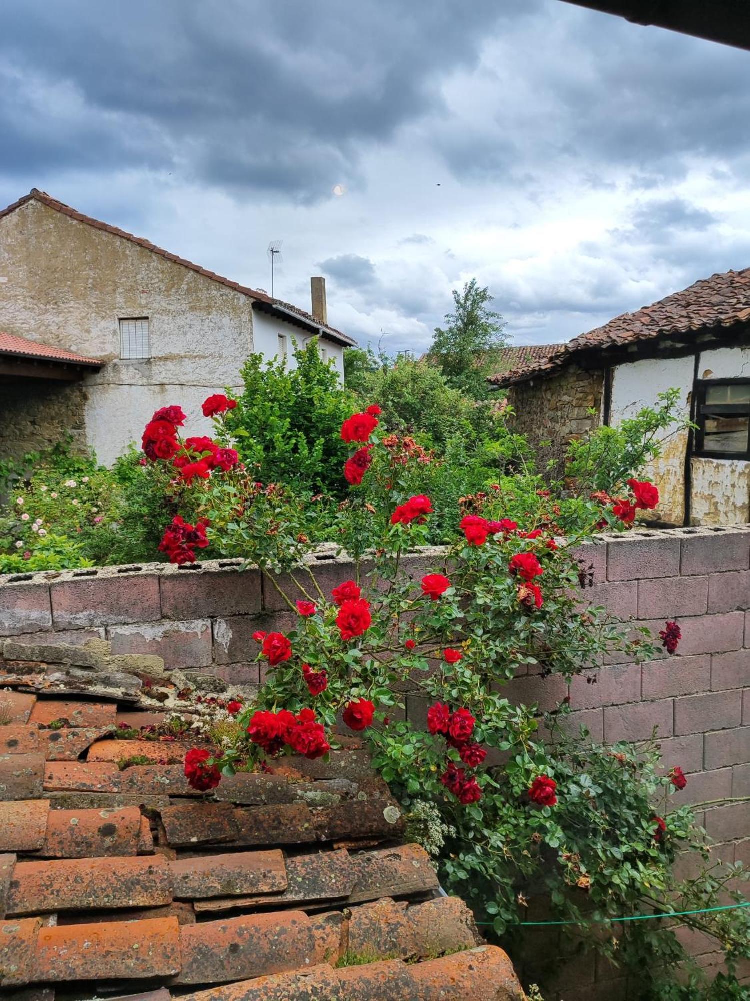 Casa Simon Pensionat Cervera De Pisuerga Eksteriør billede